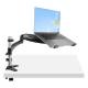 Startech.com ARMUNONB1 DESK MOUNT LAPTOP ARM