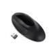 Kensington K75404EU Pro Fit Ergo Maus kabellos, schwarz