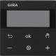 GIRA 5393005 S3000 RTR Display System 55 Schwarz m