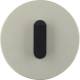 Hager WTD9131STB cover plate with knob R Classic stainless steel/black