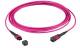 LWL-MTP®-Female Patchkabel OM4 LowLoss, 24 Faser, Typ A 1:1, erika-violett, 15m