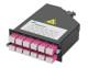 Telegärtner 100022386,H02050A4092 LWL-Baugruppenträger HD3-ES, zbh. FanOut-Modul 1HE 12xLC-D/APC OS2 → 2xMPO/APC male
