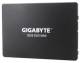 Gigabyte GP-GSTFS31100TNTD