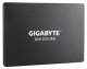 Gigabyte GP-GSTFS31100TNTD