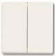 Busch Jaeger 2CKA006730A0140 BJ 6736 FoH-884 FoH control element 2-fold