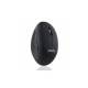 Perixx PERIMICE-719, kleine ergonomische Maus, Rechtshänder, schnurlos, schwarz
