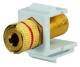 Rutenbeck 17000609