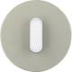 Hager WTD9131STW cover plate with knob R Classic stainless steel/polar white