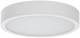 Ridi Leuchten 0321241 RIDI ADLR 410/5000-840 OS surface-mounted downlight surface-mounted downlight round, IP20, LED module
