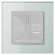 JUNG LSP981GLAS