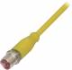 Balluff BCC M414-0000-2A-003-PX0434-050 Steckverbinder BCC031P