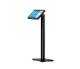 HP Engage 16.7cm 6.6inch Pole Display