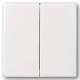 Busch Jaeger 2CKA006730A0136 BJ 6736 FoH-84 FoH control element 2-fold