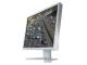 Eizo FDS1903-A-GY 48,3 cm (19