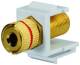 Rutenbeck 17000669