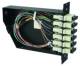 Telegärtner 100022397 FanOut-Module 6xSCD OM4 violet Type A 1xMPO male 12x50µ OM4