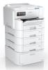 Epson C11CL37401