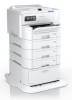 Epson C11CL37401