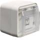 Hager WNC226B UAE Steckdose AP 8-polig geschirmt Kat.6 W.1 IP55 polarweiß