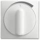 Busch Jaeger 2CKA001710A4101 BJ 1740 DR/03-914 Zentralscheibe aws Busch-balance SI