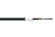 DIGITUS LWL A-I-DQ ZN BH 24G50/125u Mm OM4 24 fibers inside/outside LSZH Dca black length 1m