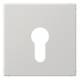 Jung LS925LG Light gray cover for key switch 10 AX 250V