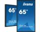 Iiyama TF6539AS-B1AG 163,9 cm (64,5