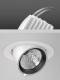 RZB 911568.002 GOLAS mini, 20 W, 2450 lm, 930, ws, on/off Einbaustrahler
