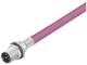 Weidmüller 2484420200 SAIE-M12S-CD-2.0A HW SAI cables 