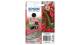 Epson C13T09R14010 Tintenpatrone 503XL Schwarz (9,2 ml)