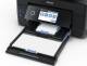Epson C11CH03402