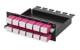 Telegärtner 100022372,H02050A4078 100022372 HD3-ES-Patch-Module 12xLCD OM4 violet Laser flap Breakout TICNET