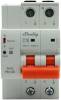 Shelly Shelly_Pro_2CB_C63