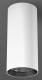 RZB 931200.002.1 HELEDON mini, 20 W, 2550 lm, 940, ws, surface-mounted downlights