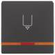 Berker 16406086 Hotelcard switch attachment with print + lens orange Q.1/Q.3 anthracite