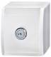 Busch Jaeger 2CKA002083A0832 Busch-Jaeger Schuko socket 20EWSL-54, Security lock ocean alpine white IP44