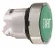 Schneider Electric ZB4BA333 Schneider Drucktaster flach START grün Metall D22mm