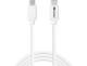 136-74 Sandberg Ladekabel USB-C