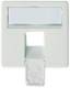 Telegärtner F00020A0123 Dose, central plate, 50x50mm for 1xRJ45, Alpinweiss