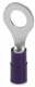 Phoenix Contact 3240025 Phoenix C-RCI 2,5/M6 Ringkabelschuh