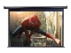 Elite Screens Spectrum Electric100H Electric Projection Screen - 254 cm (254 cm ( 100 inch )) - 16:9