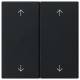 GIRA 5387005 rocker 2f arrows system 55 black m