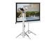 Elite Screens T100UWV1
