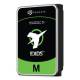 Seagate ST30000NM004K