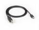 BlackBox USBC2TYPEB-1M USB 2.0 USB Typ C zu USB Typ B, St/St, 1m