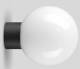 Bega 44668K3 Ceiling/Wall/P.light for indoor & outdoor use Graphite - 3000K