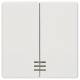 Siemens 5TG6204 Wippe 2-fach mit Fenster DELTA titanweiß
