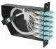 Telegärtner 100022408 H02050F4221 fanout module with 6xLC, Quad MM aqua 2xMPO male with FanOut