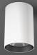 RZB 931221.002.1.76 HELEDON maxi, 25 W, 2700 lm, 940, ws, surface-mounted downlights