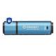 Kingston IKVP50/256GB